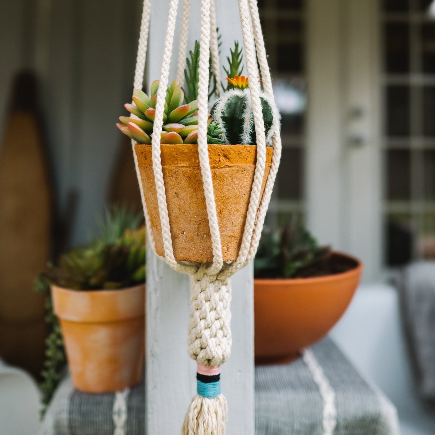 The Plant Hanger - Blush