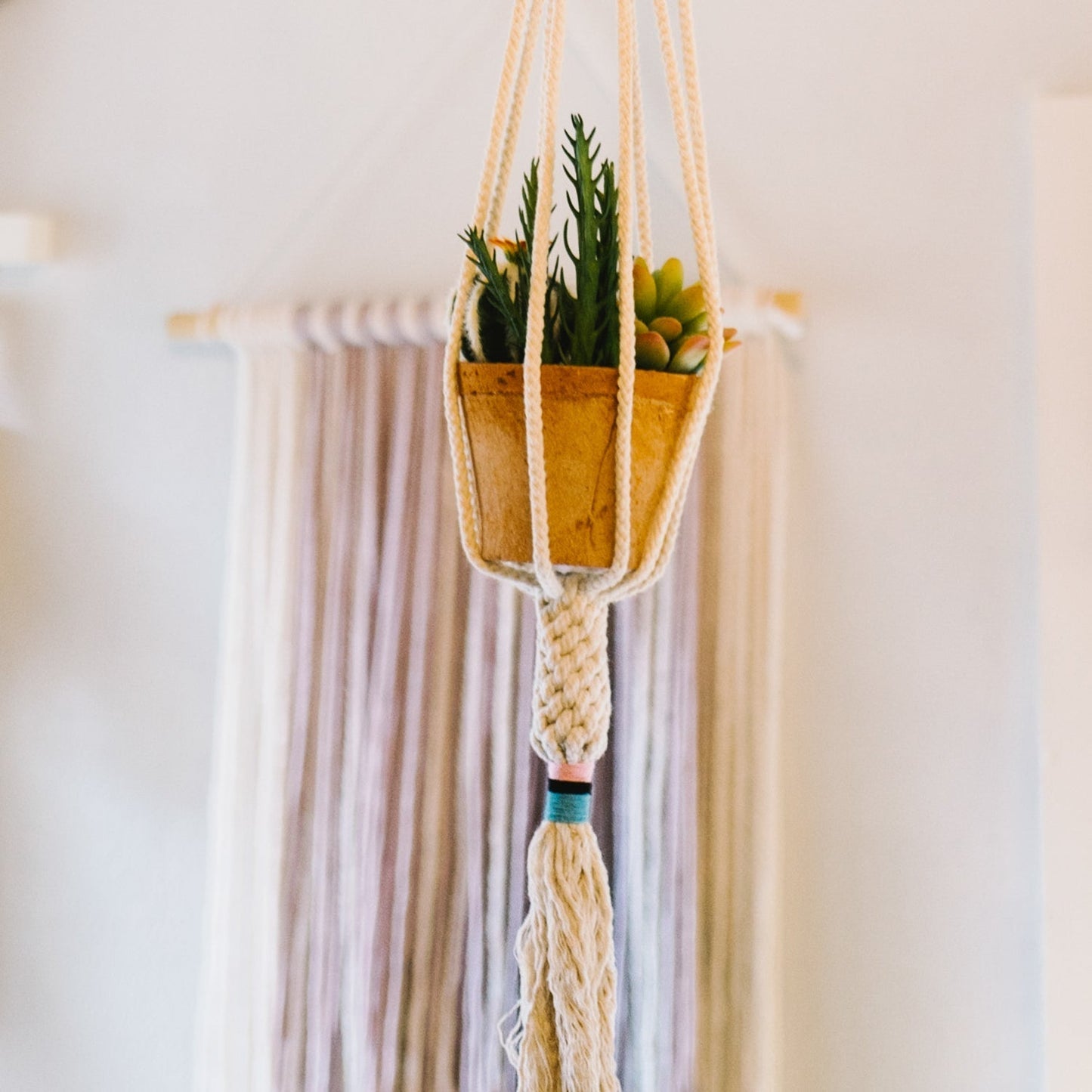 The Plant Hanger - Blush