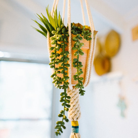 The Plant Hanger- Mustard