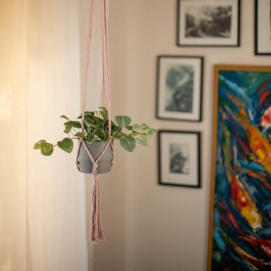 Flourish Plant Hanger