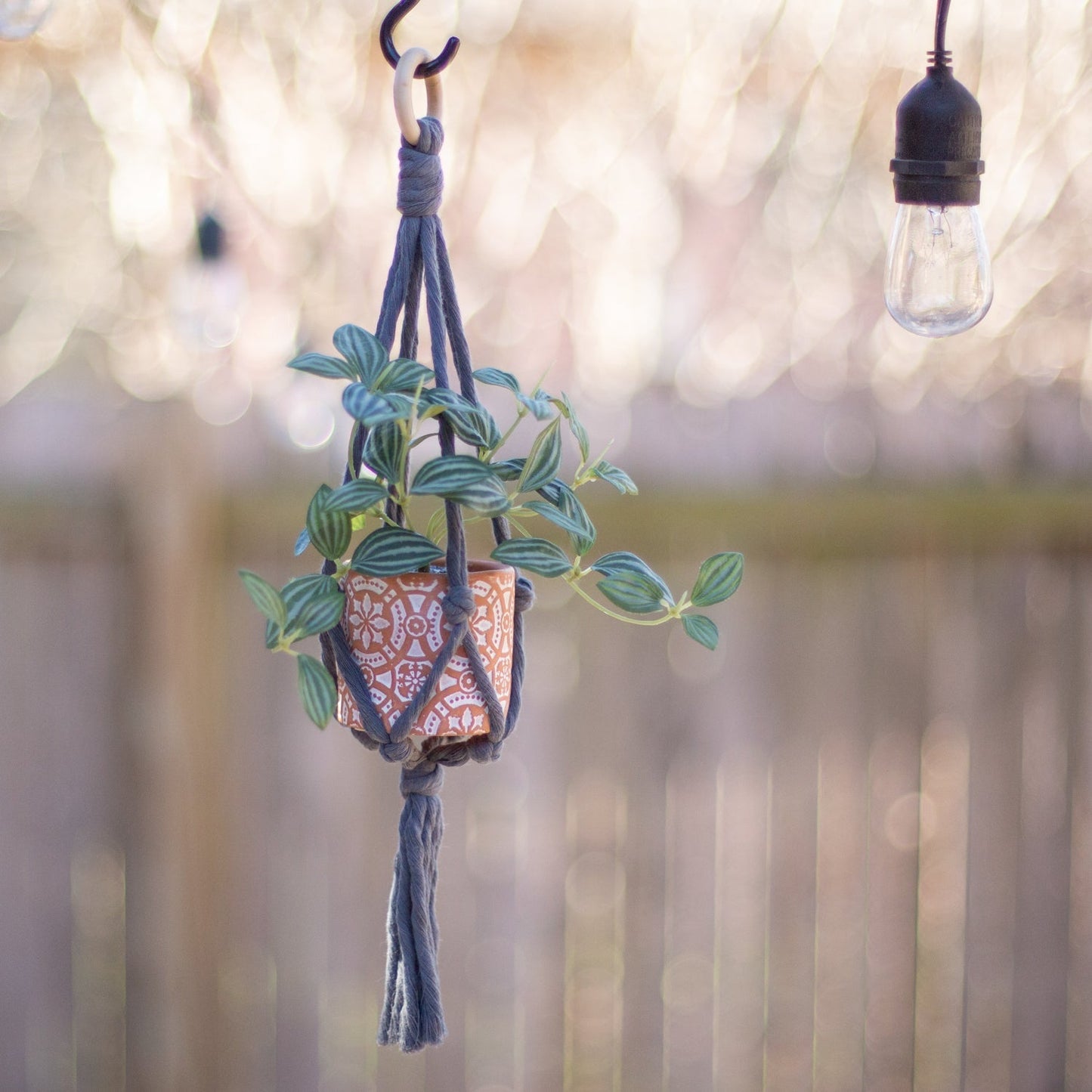 Mini Flourish Plant Hanger in Greys