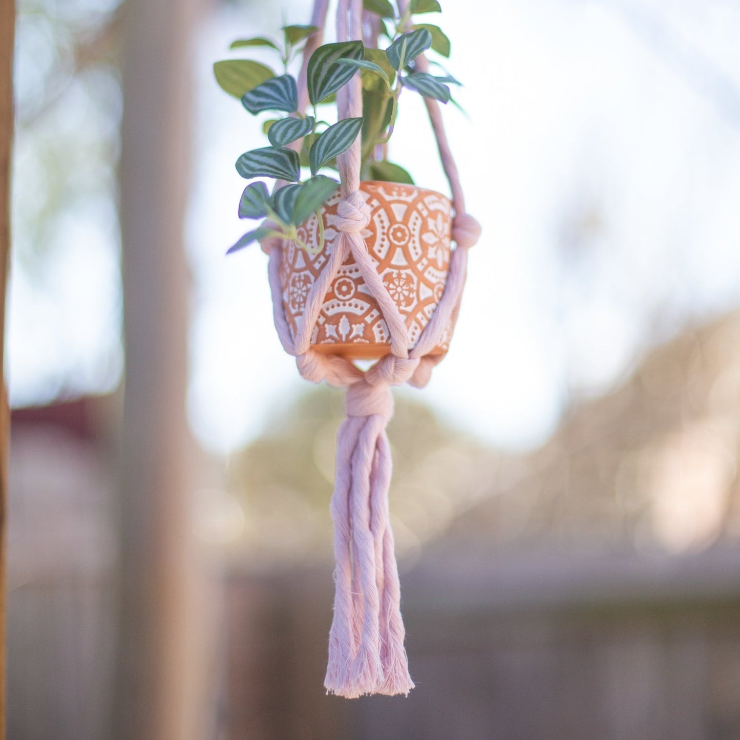 Mini Flourish Plant Hanger