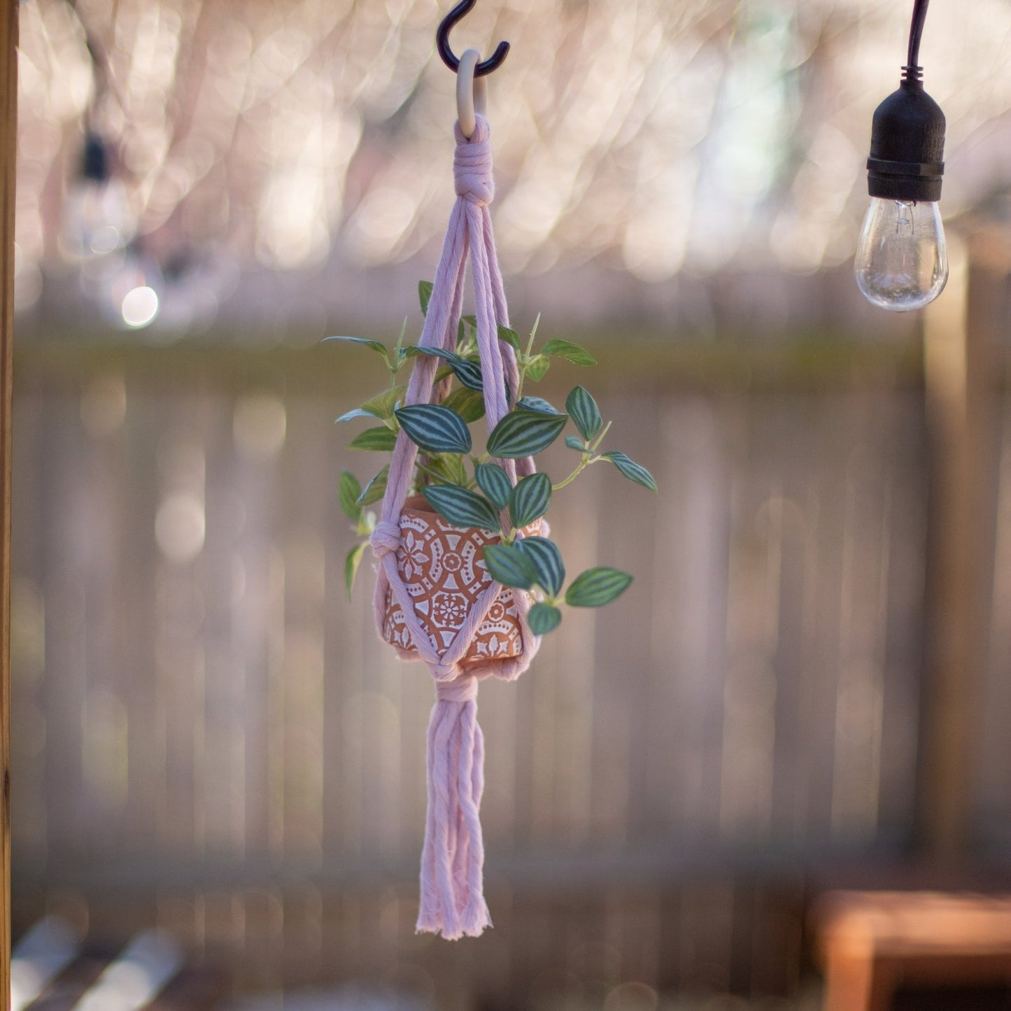 Mini Flourish Plant Hanger