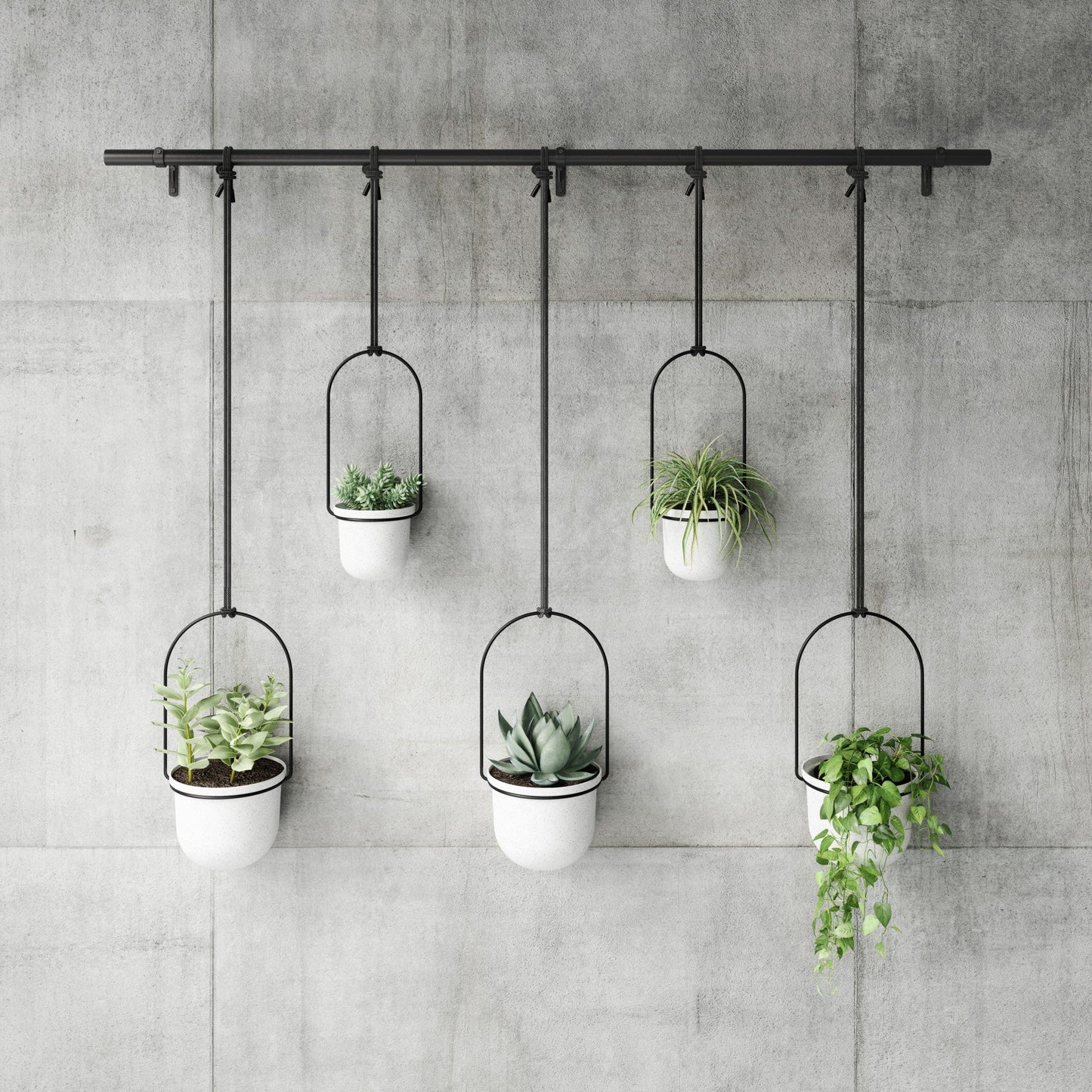 Hanging Planters, Set of 5