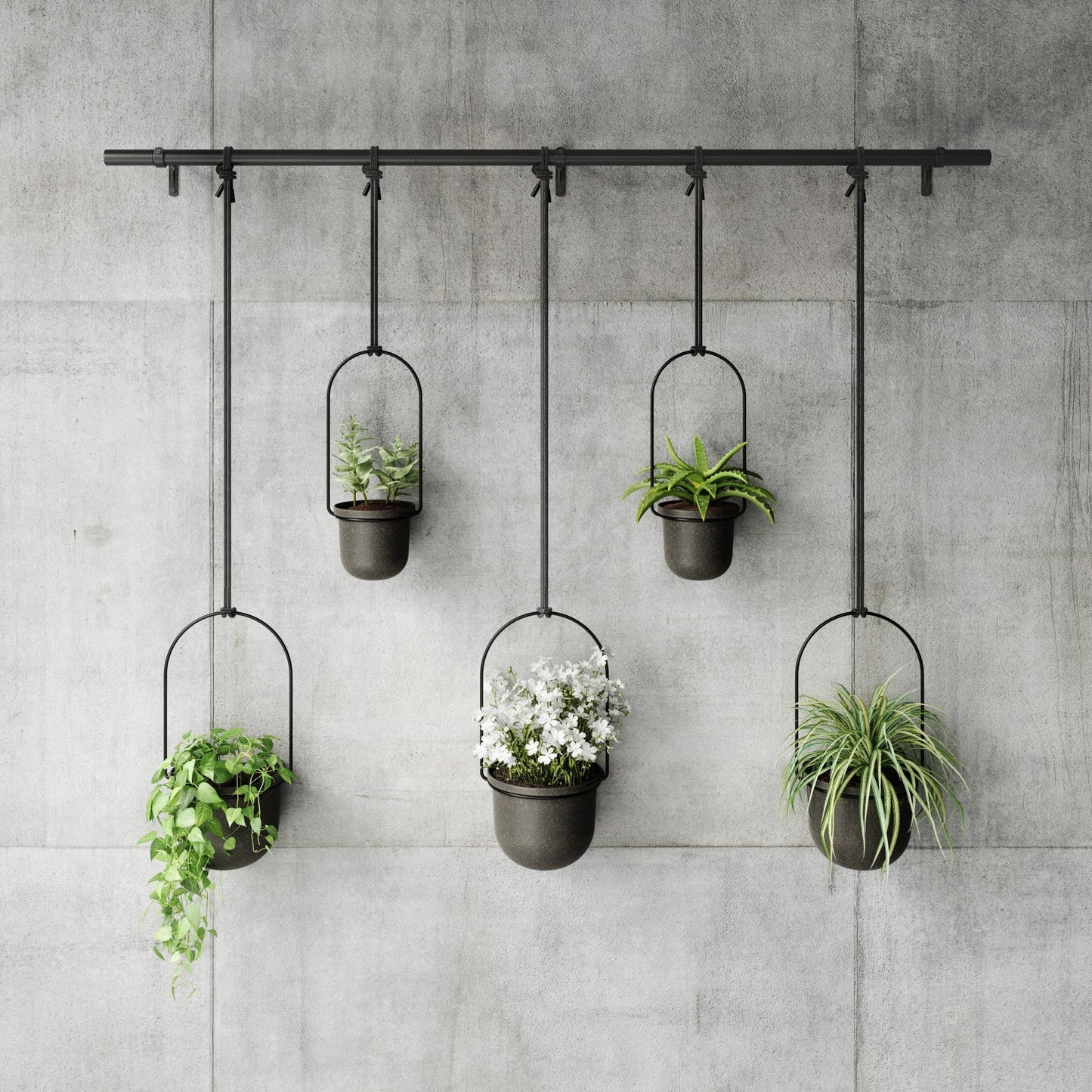 Hanging Planters, Set of 5